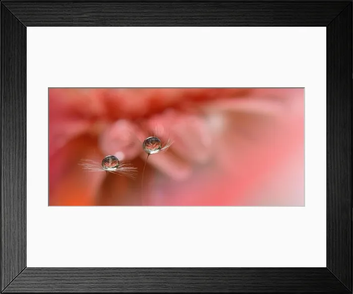 Framed Print : Spring nature blossom web banner or header.Abstract macro.Conceptual Artistic Background.Fantasy design.Colorful Wallpaper.Valentine day.Love.Couple Framed Print : Spring nature blossom web banner or header.Abstract macro.Conceptual Artistic Background.Fantasy design.Colorful Wallpaper.Valentine day.Love.Couple