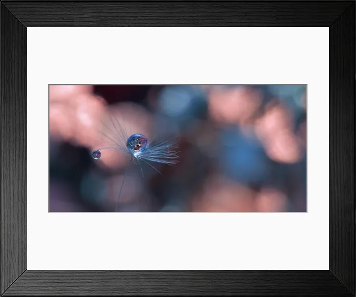 Framed Print : Spring nature blossom web banner or header.Abstract macro photo.Artistic Background.Fantasy design.Colorful Wallpaper.Extreme close up photography Framed Print : Spring nature blossom web banner or header.Abstract macro photo.Artistic Background.Fantasy design.Colorful Wallpaper.Extreme close up photography