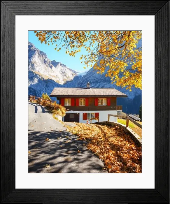 Framed Print : Amazing autumn landscape in Switzerland mountains. Traditional wooden house and yellow leaves in Grindelwald village, Swiss Alps Framed Print : Amazing autumn landscape in Switzerland mountains. Traditional wooden house and yellow leaves in Grindelwald village, Swiss Alps