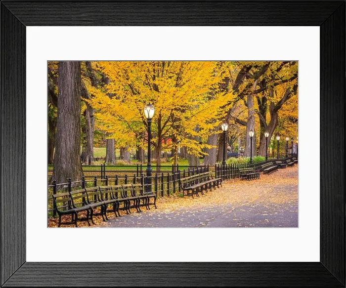 Framed Print : Central Park at The Mall in New York City during autumn dawn Framed Print : Central Park at The Mall in New York City during autumn dawn