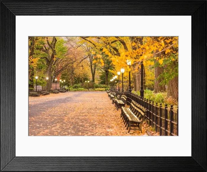 Framed Print : Central Park at The Mall in New York City during autumn dawn Framed Print : Central Park at The Mall in New York City during autumn dawn