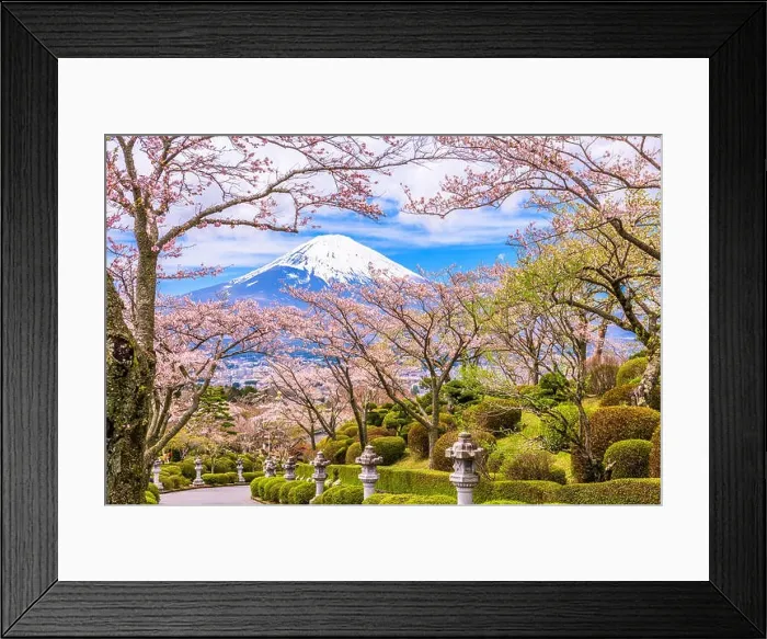 Framed Print : Gotemba City, Japan at Peace Park with Mt. Fuji in spring season Framed Print : Gotemba City, Japan at Peace Park with Mt. Fuji in spring season