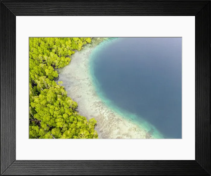 Framed Print : A beautiful coral reef grows along the edge of a mangrove in Raja Ampat, Indonesia. This diverse region is known as the heart of the Coral Triangle Framed Print : A beautiful coral reef grows along the edge of a mangrove in Raja Ampat, Indonesia. This diverse region is known as the heart of the Coral Triangle