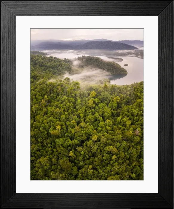 Framed Print : A lush rainforest covers a remote tropical island in Raja Ampat, Indonesia. This diverse region is known as the heart of the Coral Triangle Framed Print : A lush rainforest covers a remote tropical island in Raja Ampat, Indonesia. This diverse region is known as the heart of the Coral Triangle