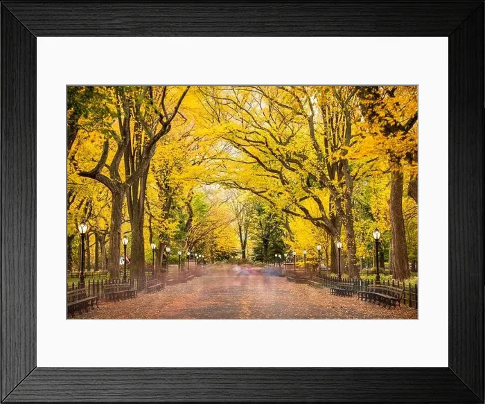 Framed Print : Central Park at The Mall in New York City during autumn Framed Print : Central Park at The Mall in New York City during autumn
