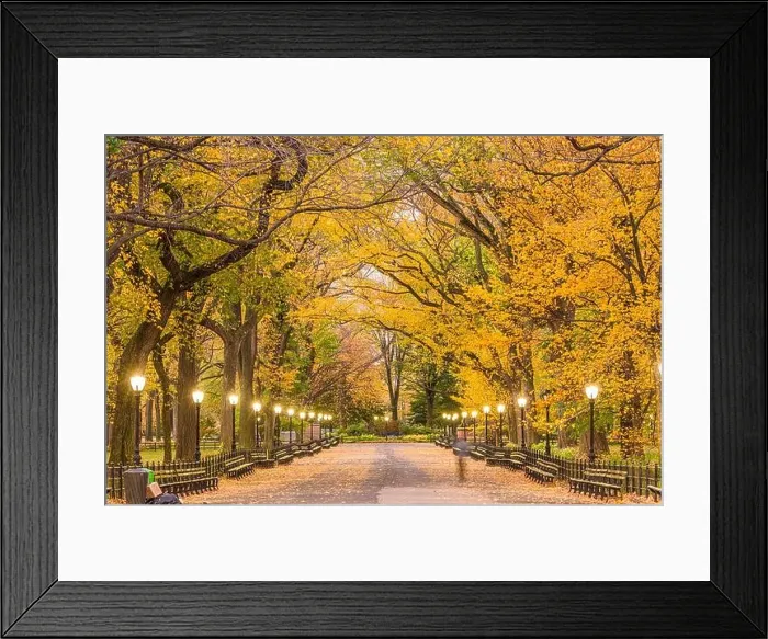Framed Print : Central Park at The Mall in New York City during autumn Framed Print : Central Park at The Mall in New York City during autumn