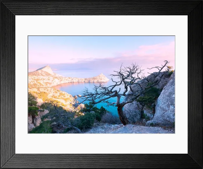 Framed Print : Alone tree on the edge of the cliff
