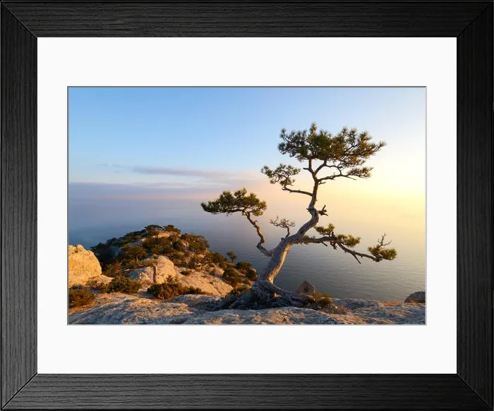 Framed Print : Alone tree on the edge of the cliff Framed Print : Alone tree on the edge of the cliff