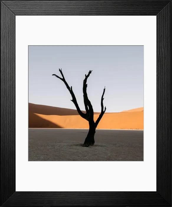 Framed Print : Dead Camelthorn Trees at sunrise, Deadvlei, Namib-Naukluft National Park, Namibia, Africa. Dried trees in Namib desert. Landscape photography Framed Print : Dead Camelthorn Trees at sunrise, Deadvlei, Namib-Naukluft National Park, Namibia, Africa. Dried trees in Namib desert. Landscape photography