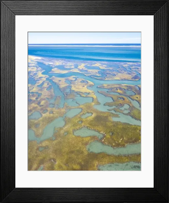 Framed Print : Salt marshes and estuaries are found throughout Cape Cod, Massachusetts. They provide calm nesting, feeding and breeding habitat for many species Framed Print : Salt marshes and estuaries are found throughout Cape Cod, Massachusetts. They provide calm nesting, feeding and breeding habitat for many species