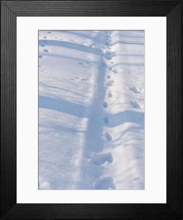 Framed Print : Path in snow at mountain in cold winter morning Framed Print : Path in snow at mountain in cold winter morning
