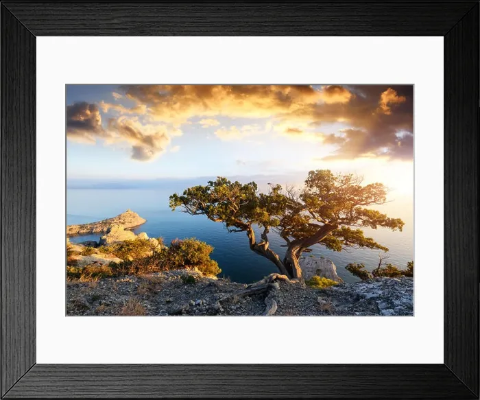 Framed Print : Alone tree on the edge of the cliff Framed Print : Alone tree on the edge of the cliff