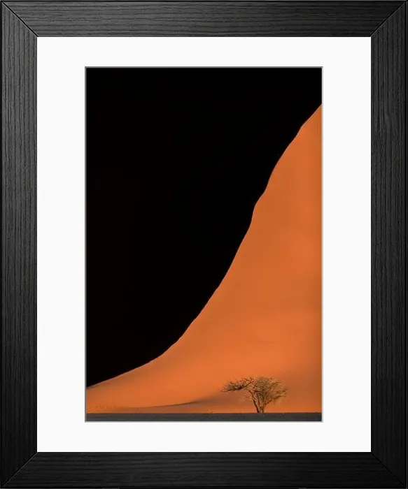 Framed Print : A lone camelthorn tree stands in front of a large red sand dune in Sossusvlei, Namibia Framed Print : A lone camelthorn tree stands in front of a large red sand dune in Sossusvlei, Namibia