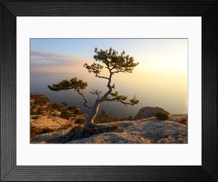 Framed Print : Alone tree on the edge of the cliff Framed Print : Alone tree on the edge of the cliff