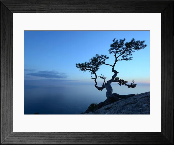 Framed Print : Alone tree on the edge of the cliff Framed Print : Alone tree on the edge of the cliff