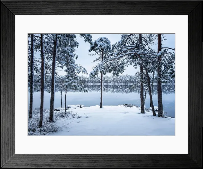 Framed Print : Scenic landscape with forest and lake at winter evening in Finland Framed Print : Scenic landscape with forest and lake at winter evening in Finland