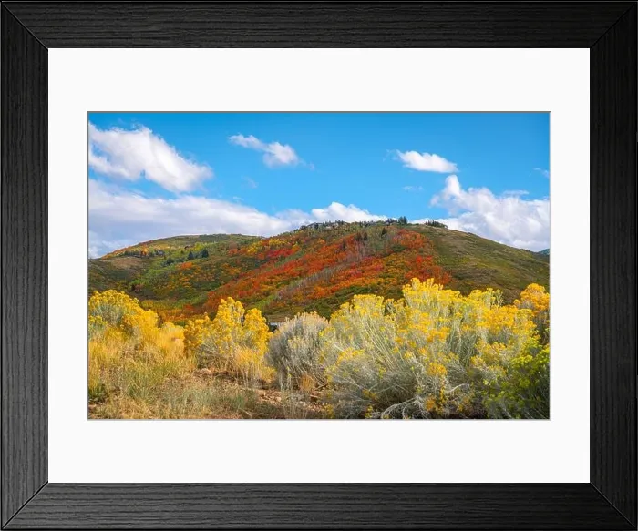 Framed Print : Park City, Utah, USA foliage along the Wasatch Back in autumn Framed Print : Park City, Utah, USA foliage along the Wasatch Back in autumn