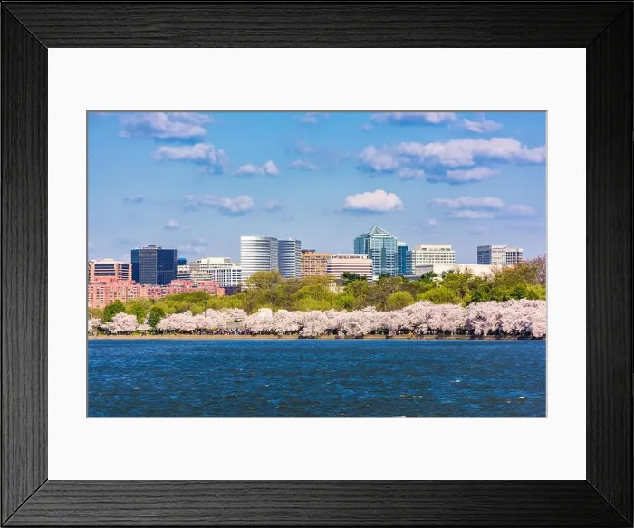 Framed Print : Washington DC, USA in spring season at the Tidal Basin with the Rossyln business district skyline in the background Framed Print : Washington DC, USA in spring season at the Tidal Basin with the Rossyln business district skyline in the background