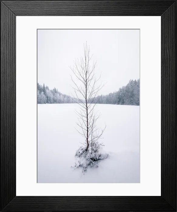 Framed Print : Lonely leafless tree with snow landscape and frozen lake at moody winter day in Finland Framed Print : Lonely leafless tree with snow landscape and frozen lake at moody winter day in Finland