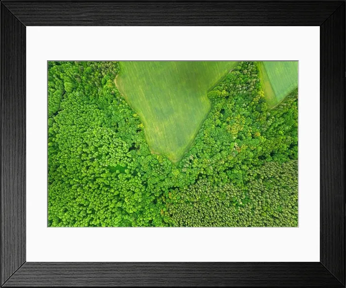 Framed Print : Aerial View Spring Green Field And Forest Landscape. Top View Of Field And Forest Belt. Bird's Eye View Framed Print : Aerial View Spring Green Field And Forest Landscape. Top View Of Field And Forest Belt. Bird's Eye View