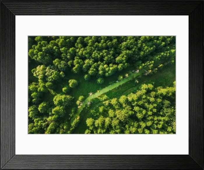 Framed Print : Belarus. Aerial View Of Green Small Bog Marsh Swamp Wetland In Green Forest Landscape In Summer Day. High Attitude View. Forest Lane In Bird's Eye