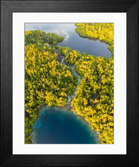 Framed Print : A narrow channel winds through a mangrove forest on Yangeffo in Raja Ampat, Indonesia. This region is known for its high marine biodiversity Framed Print : A narrow channel winds through a mangrove forest on Yangeffo in Raja Ampat, Indonesia. This region is known for its high marine biodiversity