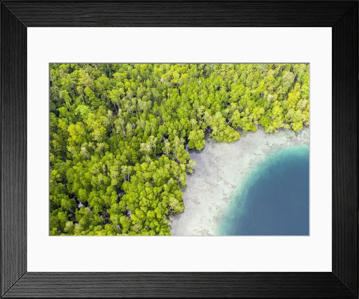 Framed Print : Limestone islands in Raja Ampat, Indonesia, are surrounded by healthy coral reefs. This biodiverse region is known as the heart of the Coral Triangle Framed Print : Limestone islands in Raja Ampat, Indonesia, are surrounded by healthy coral reefs. This biodiverse region is known as the heart of the Coral Triangle