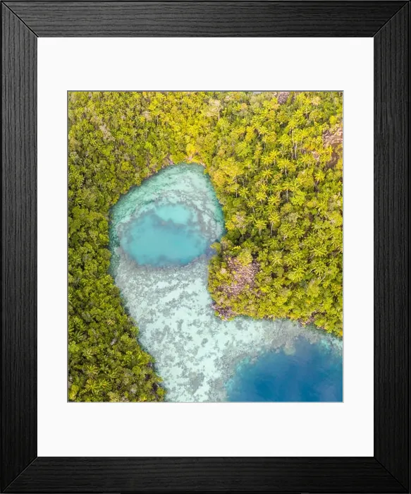 Framed Print : Remote limestone islands in Raja Ampat, Indonesia, are surrounded by healthy coral reefs. This biodiverse region is known for its marine biodiversity Framed Print : Remote limestone islands in Raja Ampat, Indonesia, are surrounded by healthy coral reefs. This biodiverse region is known for its marine biodiversity
