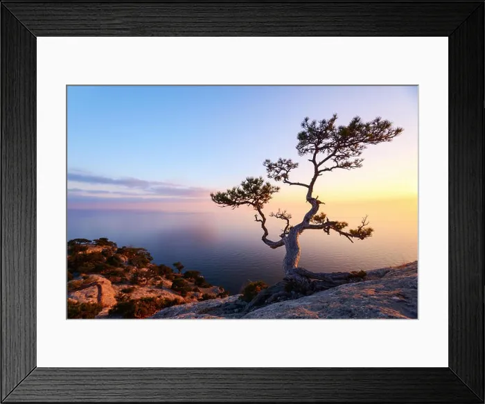 Framed Print : Alone tree on the edge of the cliff Framed Print : Alone tree on the edge of the cliff