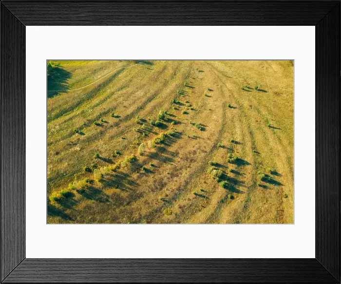 Framed Print : Aerial View Of Green Meadow Pasture Landscape. Top View From High Attitude In Summer Evening. Drone View. Bird's Eye View Framed Print : Aerial View Of Green Meadow Pasture Landscape. Top View From High Attitude In Summer Evening. Drone View. Bird's Eye View