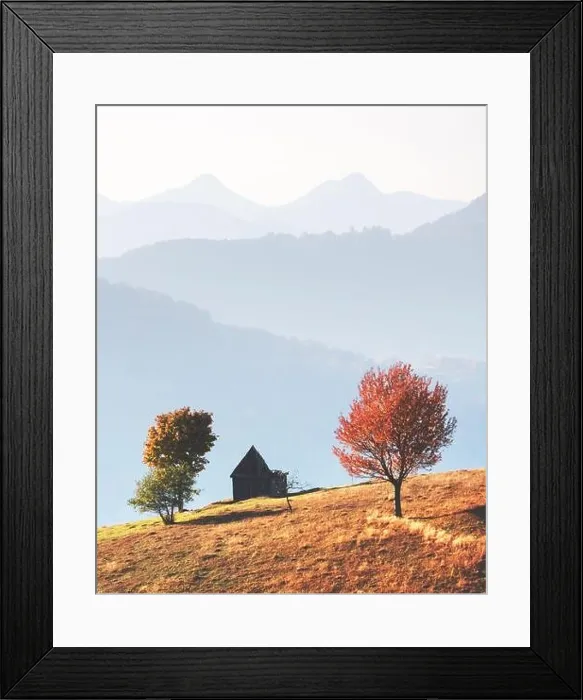 Framed Print : Picturesque autumn meadow with wooden house and red beech trees in the Carpathian mountains, Ukraine. Landscape photography