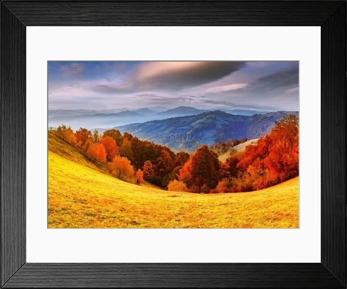 Framed Print : Panorama of picturesque autumn mountains with red beech forest in the foreground. Landscape photography Framed Print : Panorama of picturesque autumn mountains with red beech forest in the foreground. Landscape photography