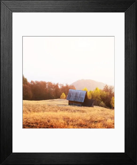 Framed Print : Picturesque meadow with wooden house and red beech trees in the autumn mountains. Landscape photography Framed Print : Picturesque meadow with wooden house and red beech trees in the autumn mountains. Landscape photography