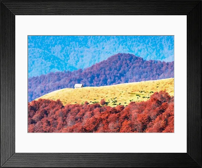 Framed Print : Picturesque autumn meadow with wooden house and red beech trees in the Carpathian mountains, Ukraine. Landscape photography Framed Print : Picturesque autumn meadow with wooden house and red beech trees in the Carpathian mountains, Ukraine. Landscape photography