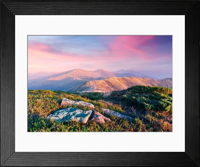 Framed Print : Yellow grass trembling in the wind in autumn mountains at sunrise. Carpathian mountains, Ukraine. Landscape photography Framed Print : Yellow grass trembling in the wind in autumn mountains at sunrise. Carpathian mountains, Ukraine. Landscape photography