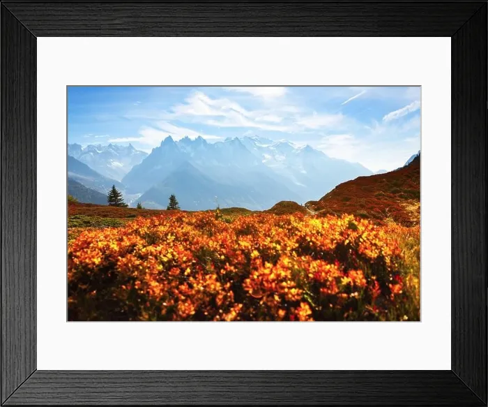 Framed Print : Amazing view on Monte Bianco mountains range with with Monblan on background. Vallon de Berard Nature Preserve, Chamonix, Graian Alps Framed Print : Amazing view on Monte Bianco mountains range with with Monblan on background. Vallon de Berard Nature Preserve, Chamonix, Graian Alps