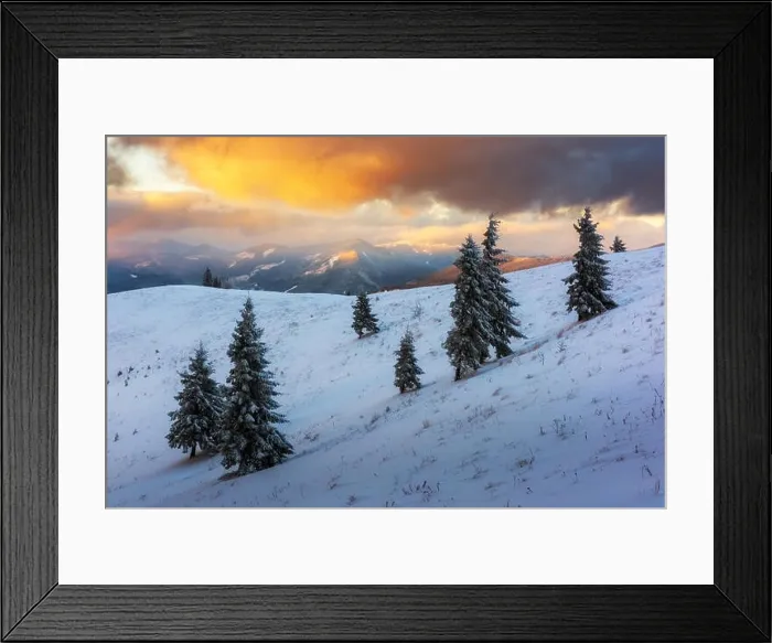 Framed Print : Dramatic wintry scene with snowy trees Framed Print : Dramatic wintry scene with snowy trees