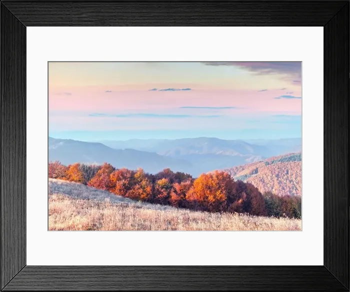 Framed Print : Picturesque autumn mountains with red beech forest in the Carpathian mountains, Ukraine. Landscape photography Framed Print : Picturesque autumn mountains with red beech forest in the Carpathian mountains, Ukraine. Landscape photography