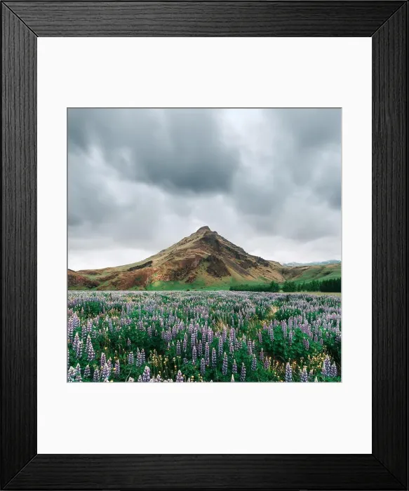 Framed Print : Typical Iceland landscape with mountains Framed Print : Typical Iceland landscape with mountains