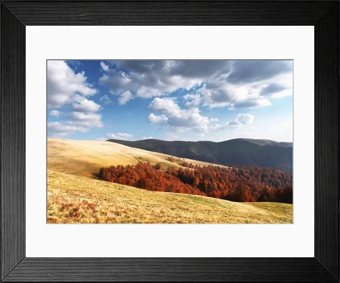 Framed Print : Picturesque autumn mountains with red beech forest in the Carpathian mountains, Ukraine. Landscape photography Framed Print : Picturesque autumn mountains with red beech forest in the Carpathian mountains, Ukraine. Landscape photography
