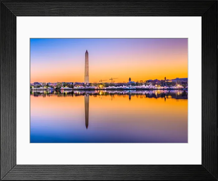 Framed Print : Washington DC, USA at the tidal basin with Washington Monument in spring season Framed Print : Washington DC, USA at the tidal basin with Washington Monument in spring season
