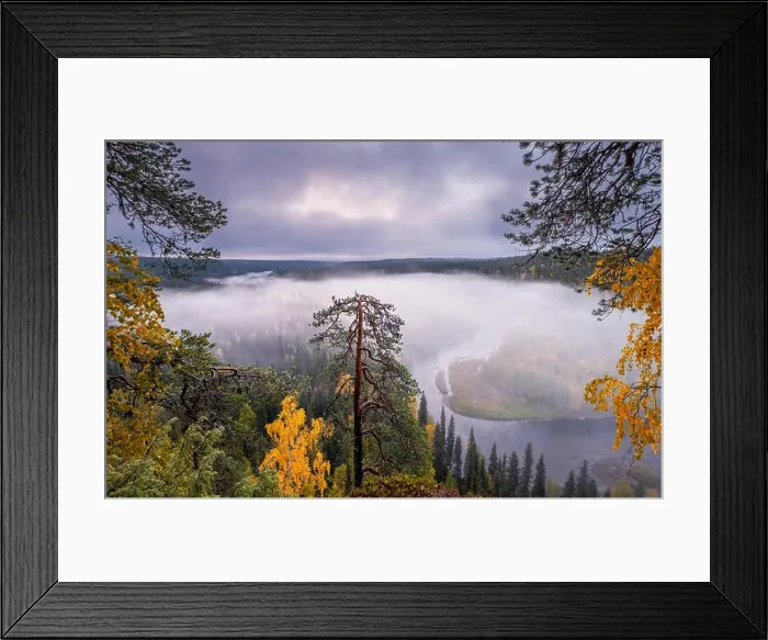 Framed Print : Scenic landscape view with morning fog and fall colors at moody day in Kuusamo, Finland Framed Print : Scenic landscape view with morning fog and fall colors at moody day in Kuusamo, Finland