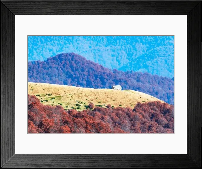 Framed Print : Picturesque autumn meadow with wooden house and red beech trees in the Carpathian mountains, Ukraine. Landscape photography Framed Print : Picturesque autumn meadow with wooden house and red beech trees in the Carpathian mountains, Ukraine. Landscape photography