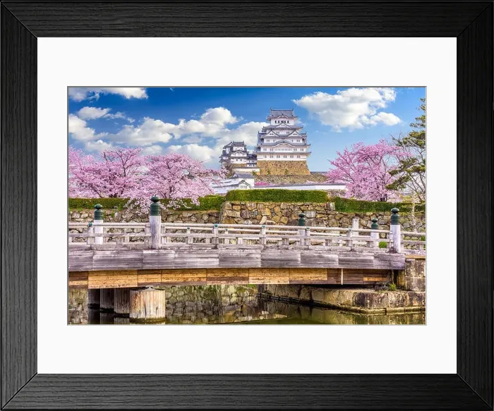 Framed Print : Himeji, Japan at Himeji Castle in spring season Framed Print : Himeji, Japan at Himeji Castle in spring season