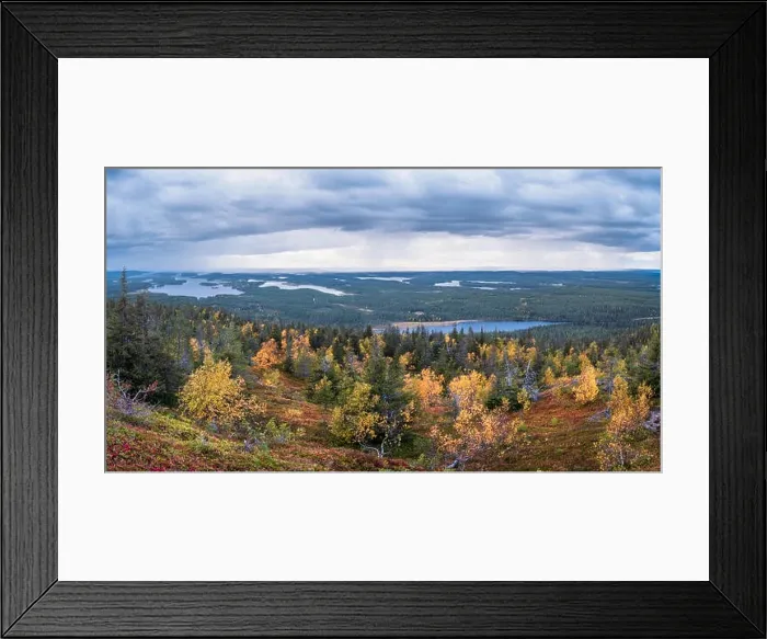 Framed Print : Scenic landscape with fall colors forest and mood clouds on the top of the hill at autumn evening in Lapland, Finland Framed Print : Scenic landscape with fall colors forest and mood clouds on the top of the hill at autumn evening in Lapland, Finland