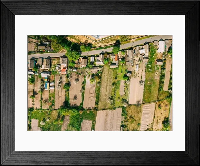 Framed Print : Russia. Aerial View Of Small Town, Village Cityscape Skyline In Summer Day. Residential District, Houses And Vegetable Garden Beds In Bird's-eye View Framed Print : Russia. Aerial View Of Small Town, Village Cityscape Skyline In Summer Day. Residential District, Houses And Vegetable Garden Beds In Bird's-eye View