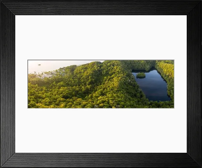 Framed Print : A marine lake is found surrounded by a limestone island in Raja Ampat, Indonesia. This tropical region is known for its amazing marine biodiversity Framed Print : A marine lake is found surrounded by a limestone island in Raja Ampat, Indonesia. This tropical region is known for its amazing marine biodiversity