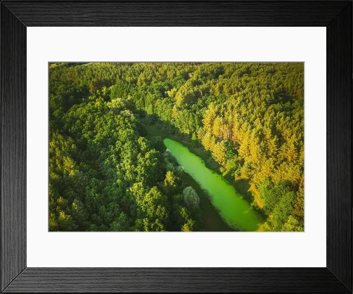 Framed Print : Belarus. Elevated View Of Green Small Bog Marsh Swamp Wetland And Green Forest Landscape In Sunny Summer Day. Attitude View. Forest In Bird's Eye View Framed Print : Belarus. Elevated View Of Green Small Bog Marsh Swamp Wetland And Green Forest Landscape In Sunny Summer Day. Attitude View. Forest In Bird's Eye View