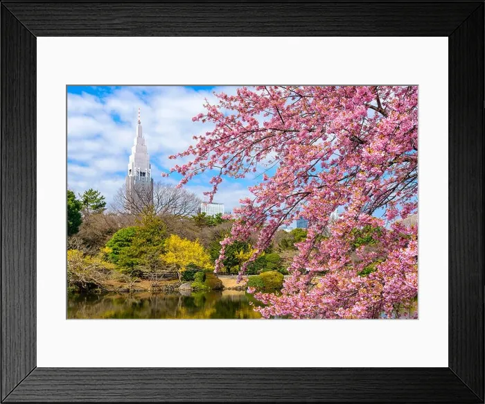 Framed Print : Tokyo, Japan Spring Framed Print : Tokyo, Japan Spring