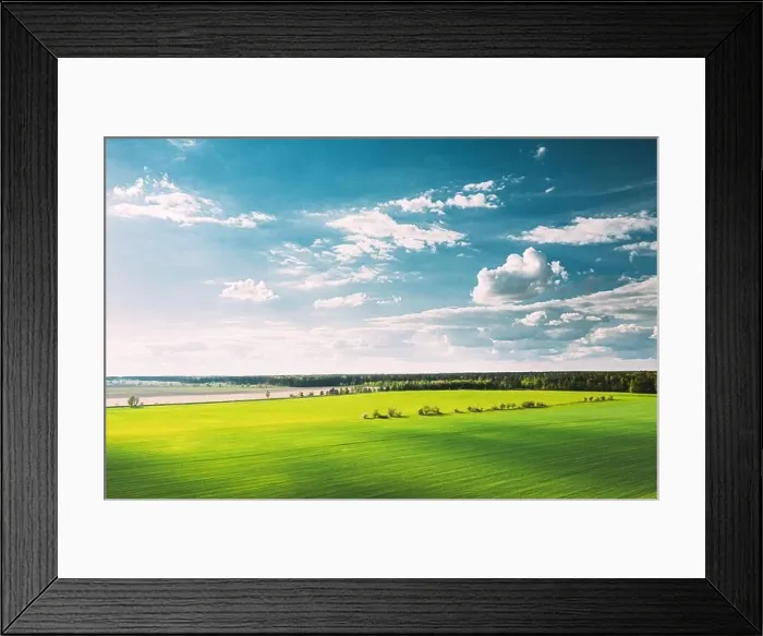 Framed Print : Countryside Rural Green Field Landscape With Young Wheat Sprouts In Spring Summer Cloudy Day. Agricultural Field. Young Wheat Shoots. Aerial View Framed Print : Countryside Rural Green Field Landscape With Young Wheat Sprouts In Spring Summer Cloudy Day. Agricultural Field. Young Wheat Shoots. Aerial View